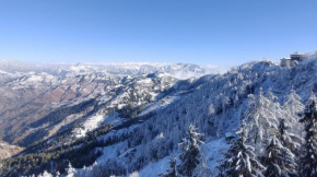 The Himalayas View I Forest View & Treaks I Nearby Market and Food Available On Property I By Exotic Stays